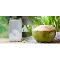 Água de Coco Natural garrafa 500 ml